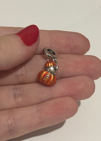 Balkabaklı Kedili Charm - Görsel 2