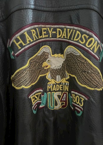 Erkek deri motorcu ceketi - Görsel 3