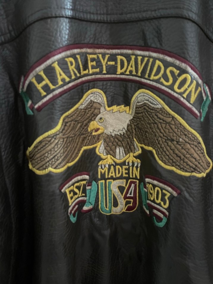 Erkek deri motorcu ceketi - Görsel 3