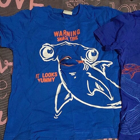 LC Waikiki Erkek çocuk 5 6 yaş tişört