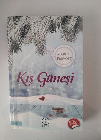 Kış Güneşi ROMAN