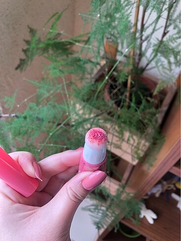 Beden Essence baby got blush