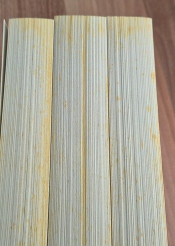 Kan ve Bal - Shelby Mahurin /yılan ve güvercin - Görsel 3