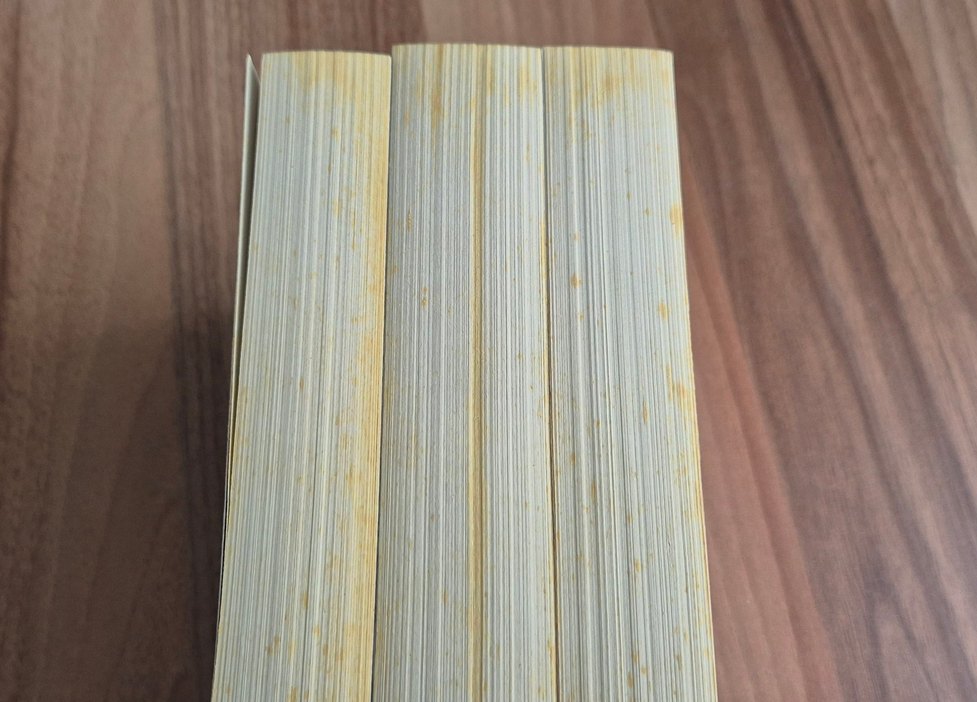 Kan ve Bal - Shelby Mahurin /yılan ve güvercin - Görsel 3