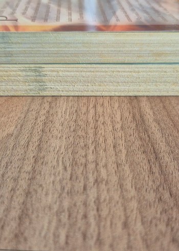 Elise Kova - Altın Muhafızlar Serisi 2 Kitap - Görsel 3