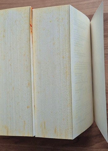 Sarah J. Maas'tan Gökyüzü & Nefes Hanesi ve Hilal Şehir - Görsel 3