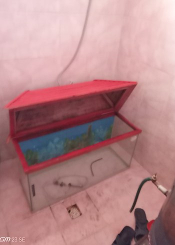 Kırmızı Çatılı Cam Akvaryum