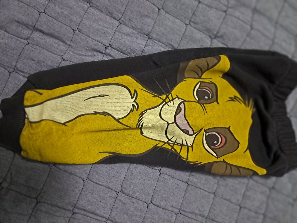 ZARA Erkek Eşofman - Görsel 2