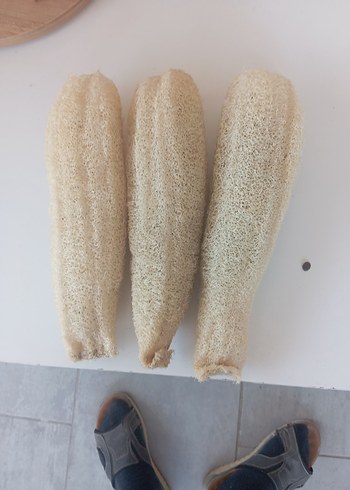 Doğal Lif Sünger adet fiyatidir - Görsel 2