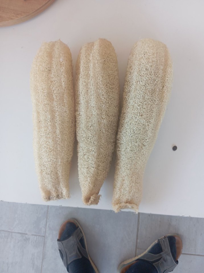 Doğal Lif Sünger adet fiyatidir - Görsel 2