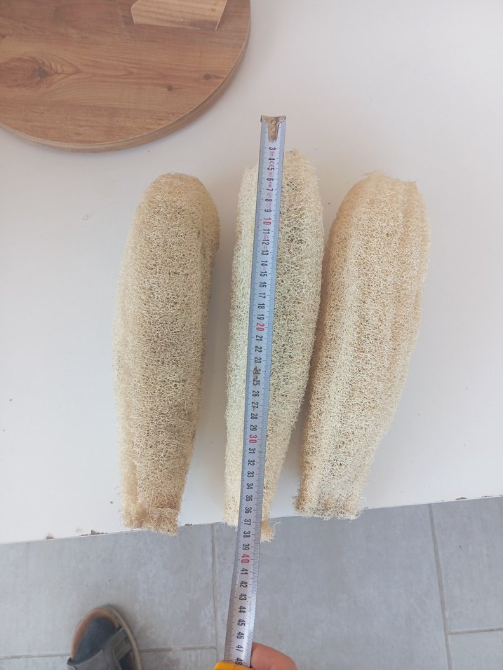 Doğal Lif Sünger adet fiyatidir - Görsel 3