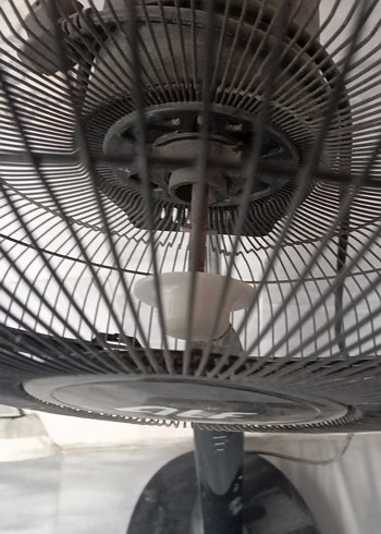 Siyah ALF Ayaklı Vantilatör - Görsel 2