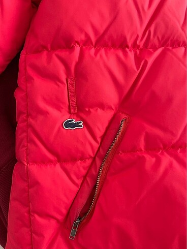 s Beden Lacoste Mont