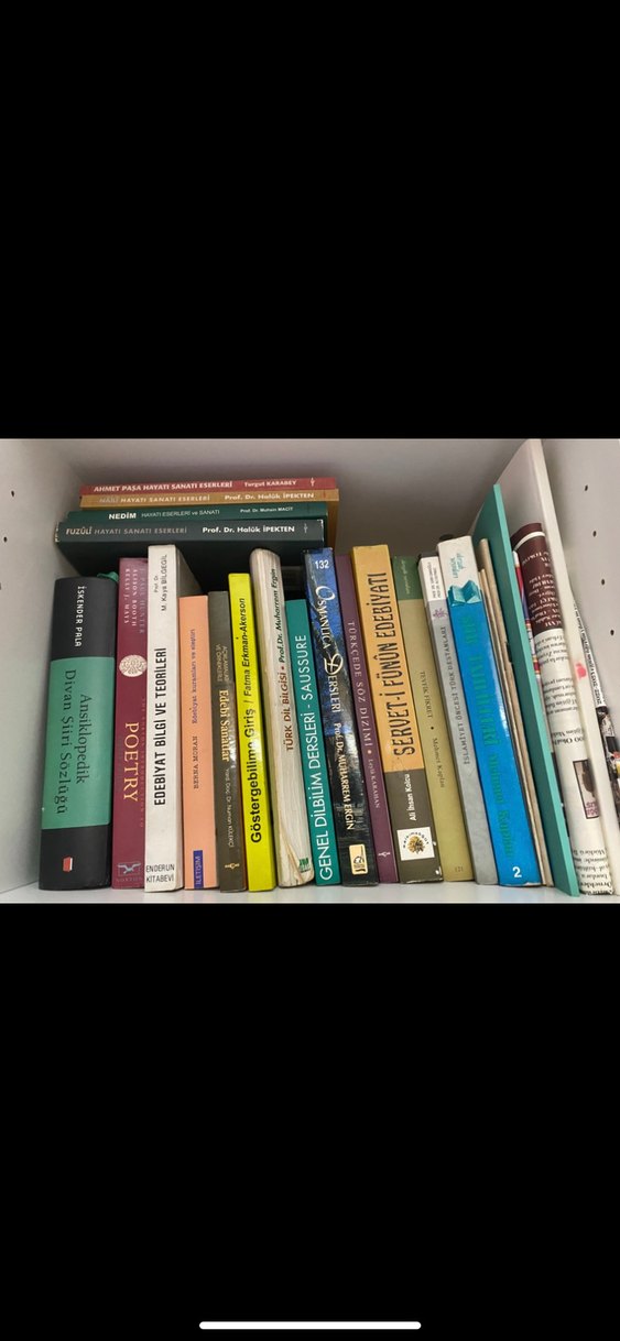 Türk dili ve edebiyatı bölümü ders kitapları - Görsel 2