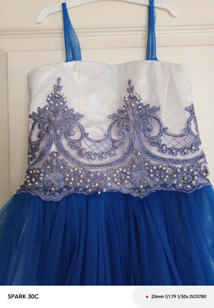 Mavi Nakışlı Kız Çocuk Abiye Elbise - Görsel 5