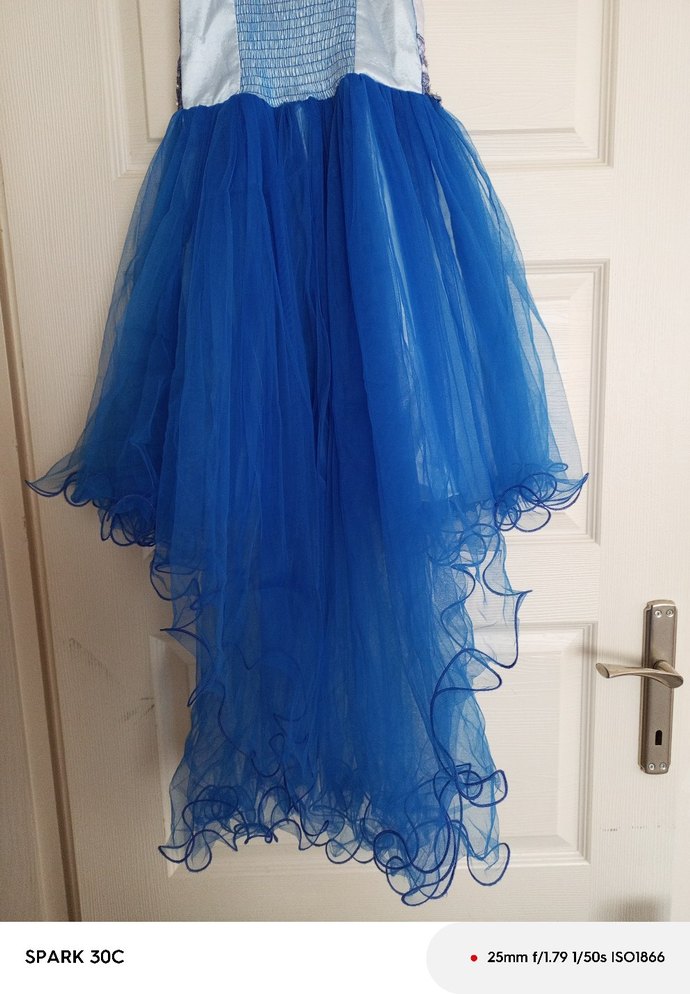 Mavi Nakışlı Kız Çocuk Abiye Elbise - Görsel 4