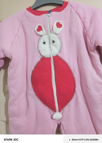 Pembe Nakışlı Bebek Kış Tulumu Fermuarlı - Görsel 3