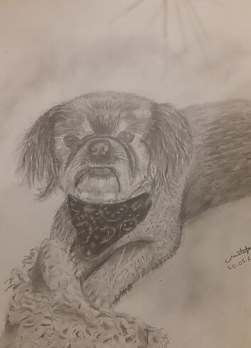 Karakalem potre resim - Görsel 3