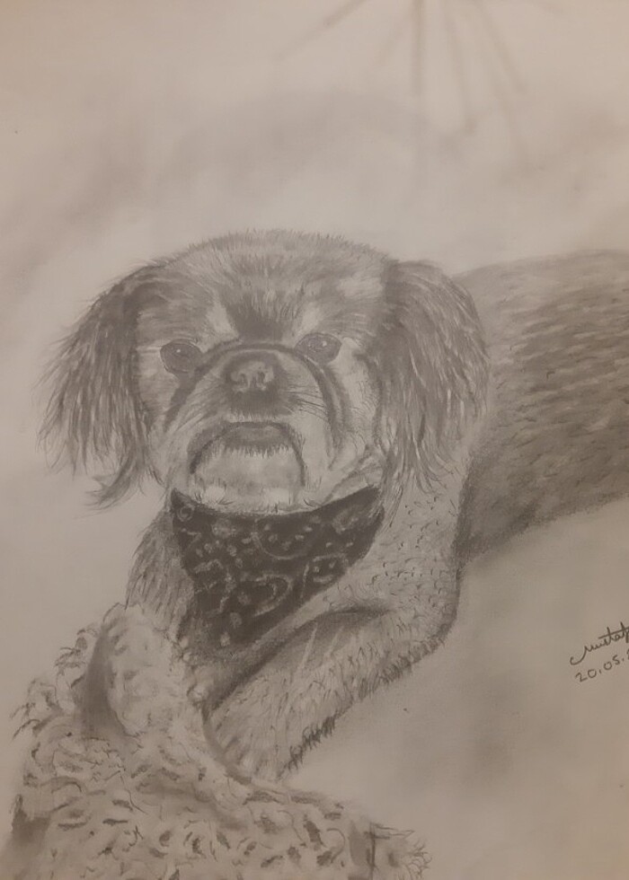 Karakalem potre resim - Görsel 3