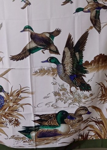 Orijinal Carlo margo eşarp - Görsel 2