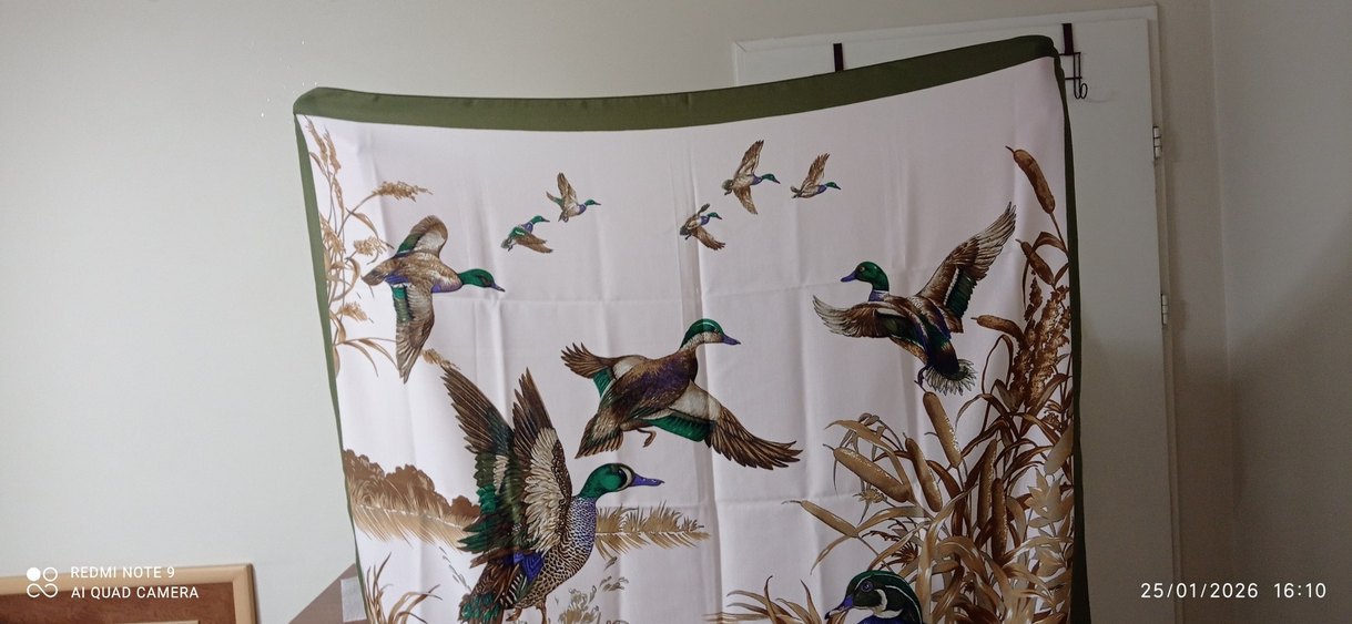 Orijinal Carlo margo eşarp - Görsel 4