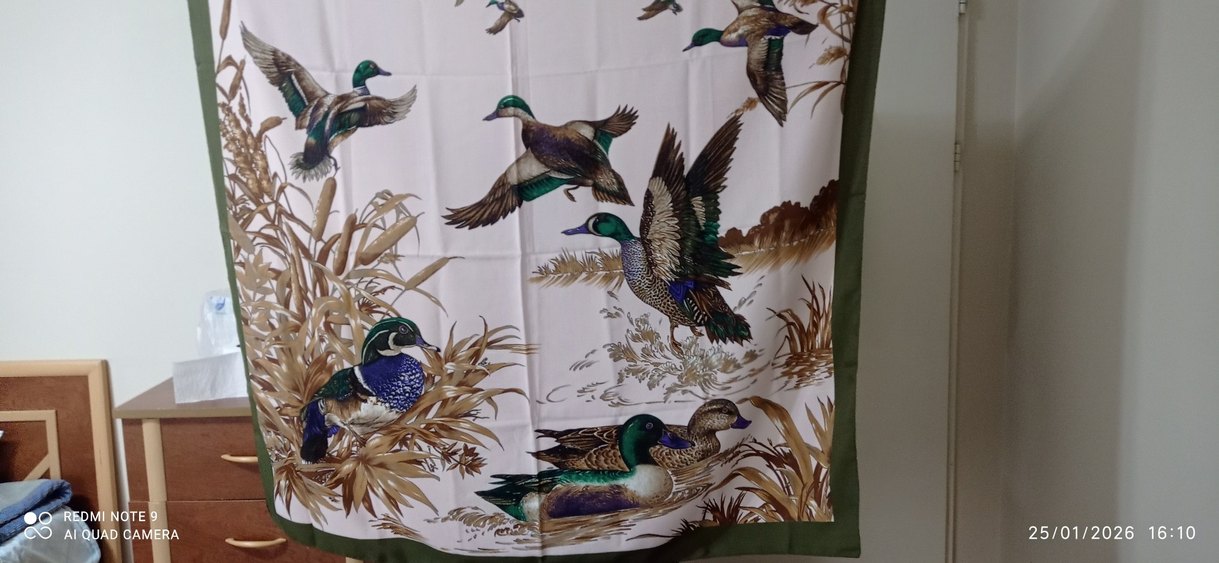 Orijinal Carlo margo eşarp - Görsel 2