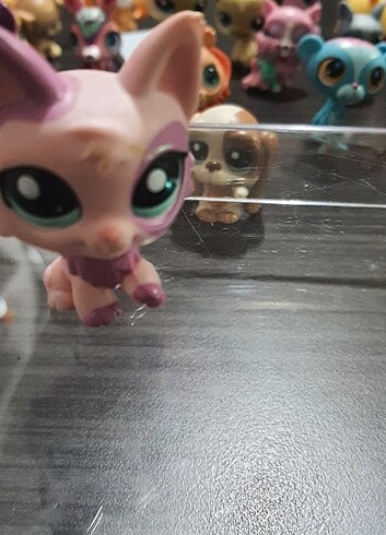  Beden Lps littlest pet shop minişler 