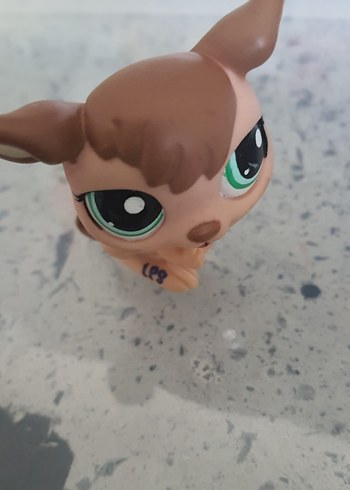  Beden lps minişler nadir kanguru minis