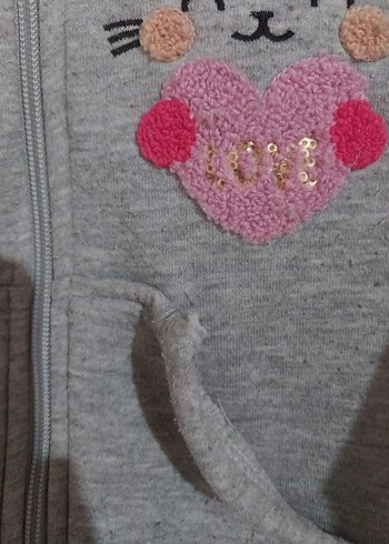 Kız Çocuk Gri Kapüşonlu Nakışlı Fermuarlı Sweatshirt - Görsel 3