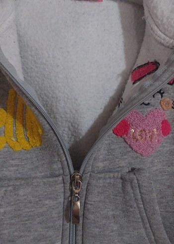 Kız Çocuk Gri Kapüşonlu Nakışlı Fermuarlı Sweatshirt - Görsel 5