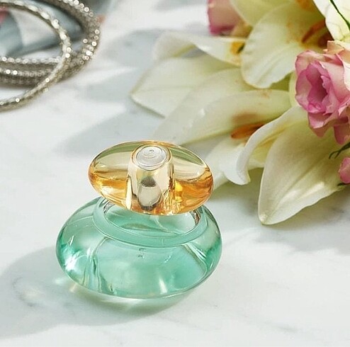 Elvie edt