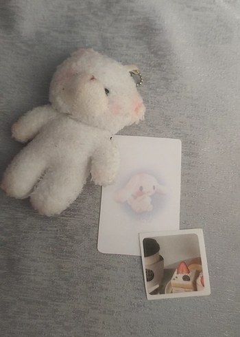  Chearyoung Photocard
