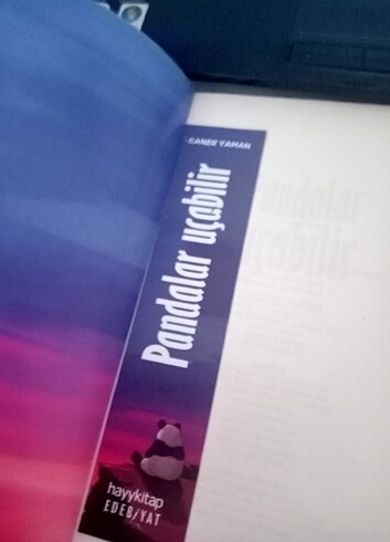 Kitap