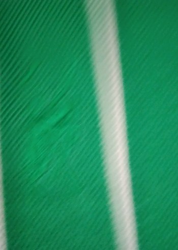 Yeşil Çizgili Kısa Kollu Polo Tişört - Görsel 4