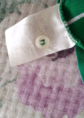 Yeşil Çizgili Kısa Kollu Polo Tişört - Görsel 6