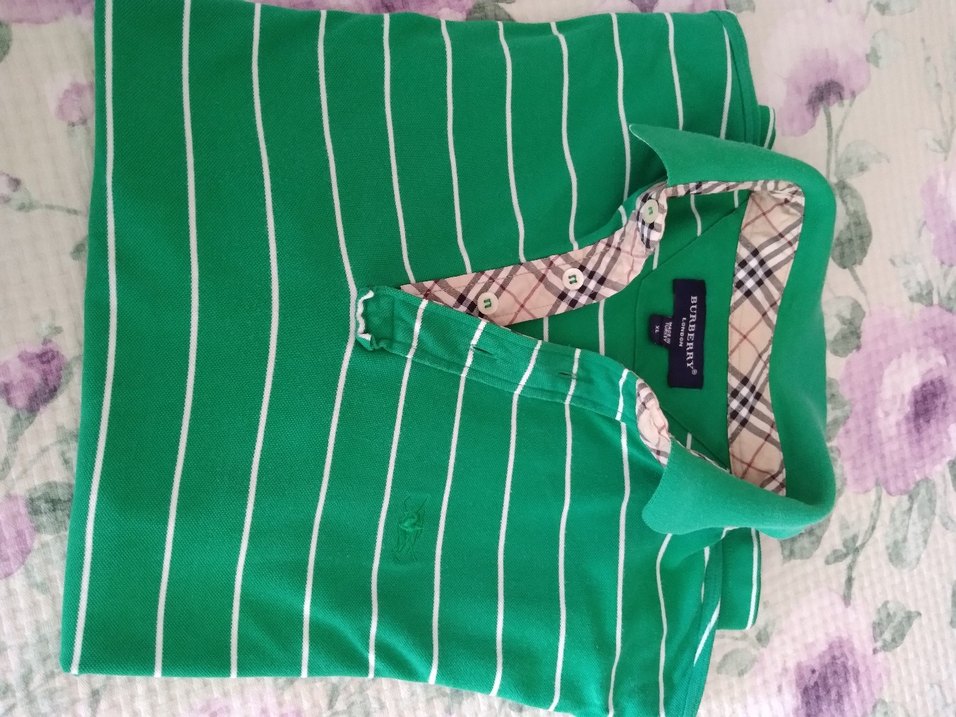 Yeşil Çizgili Kısa Kollu Polo Tişört - Görsel 2