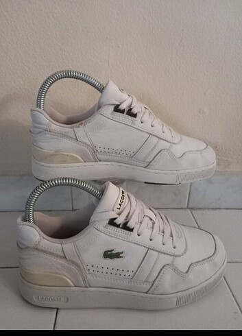 37 Beden Lacoste 
