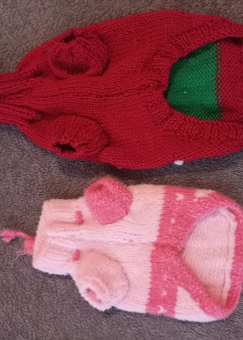 kedi köpek kazagı  TANE FIYATI - Görsel 4