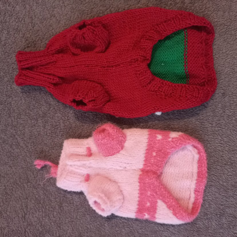 kedi köpek kazagı  TANE FIYATI - Görsel 4