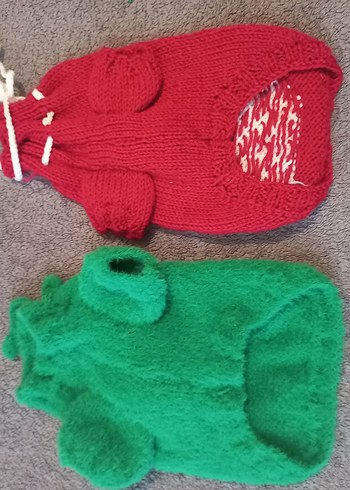 kedi köpek kazagı - Görsel 4