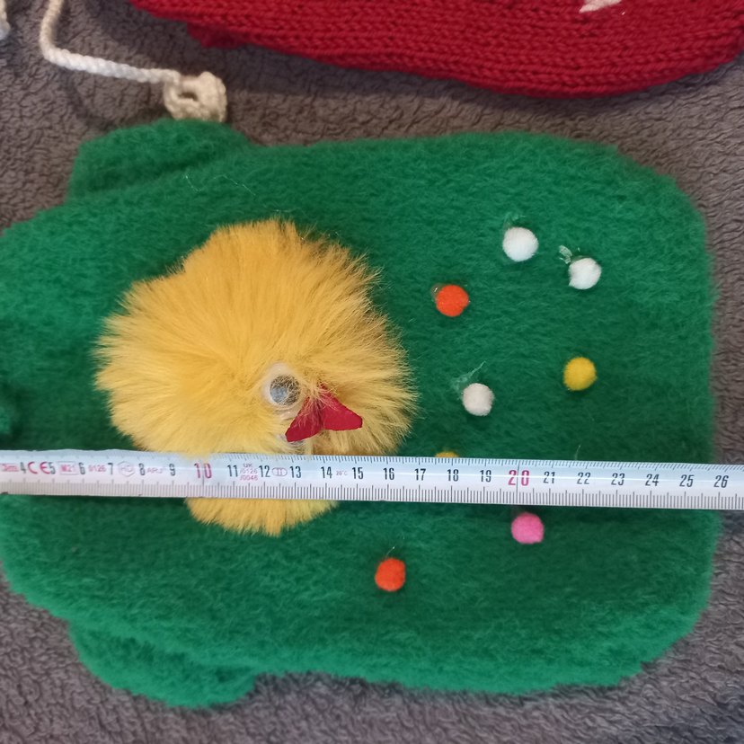 kedi köpek kazagı - Görsel 2