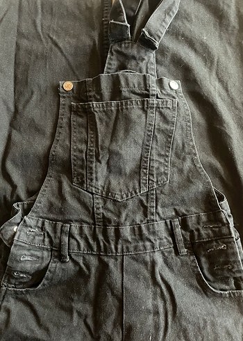 Siyah kot bahçıvan - Görsel 2