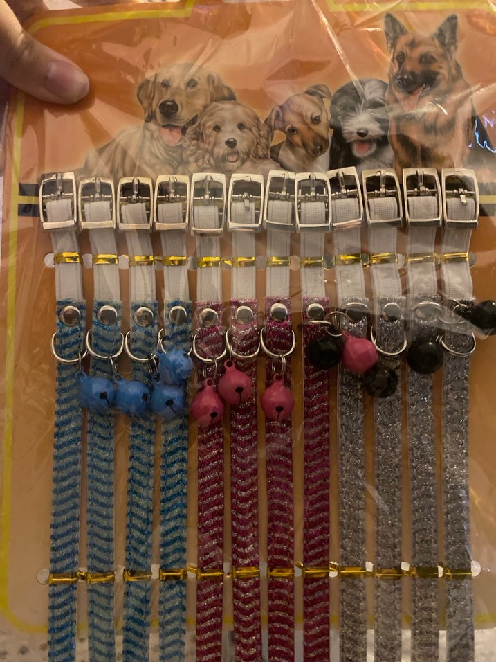 Renkli Çanlı Kedi Tasması Seti - Görsel 2