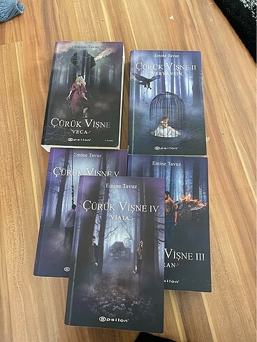 Çürük Vişne Serisi / Emine Tavuz