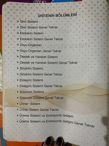 Ayt Soru Bankası - Görsel 3