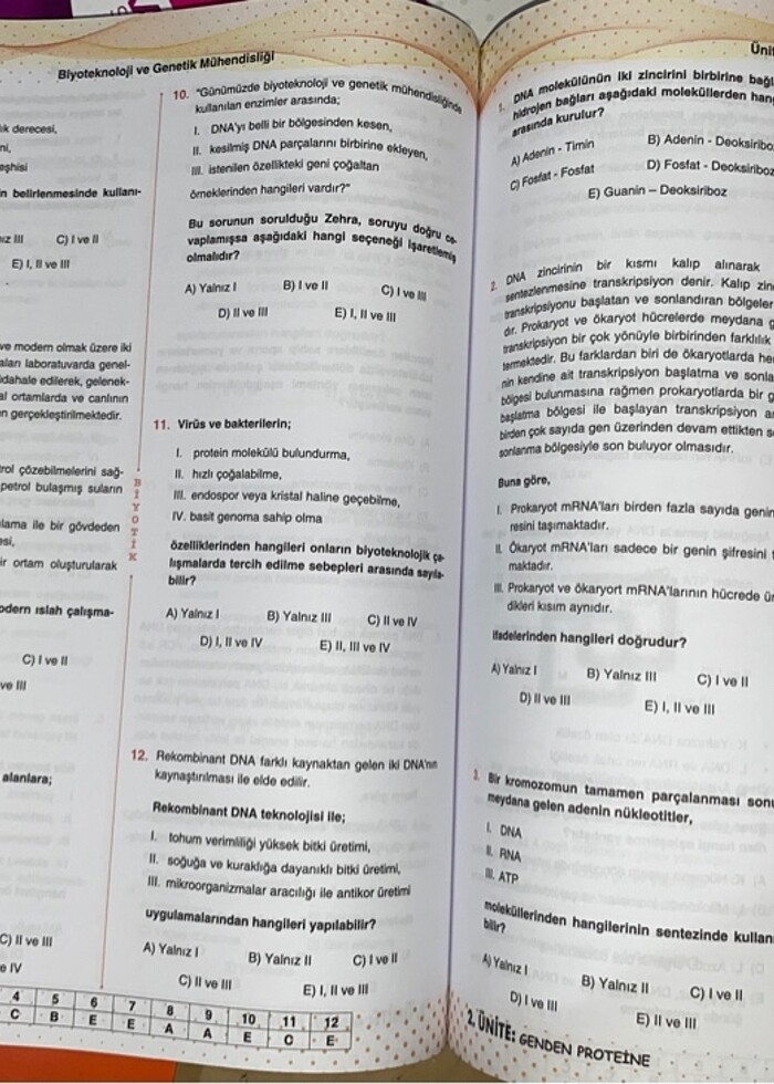 Ayt Soru Bankası - Görsel 4