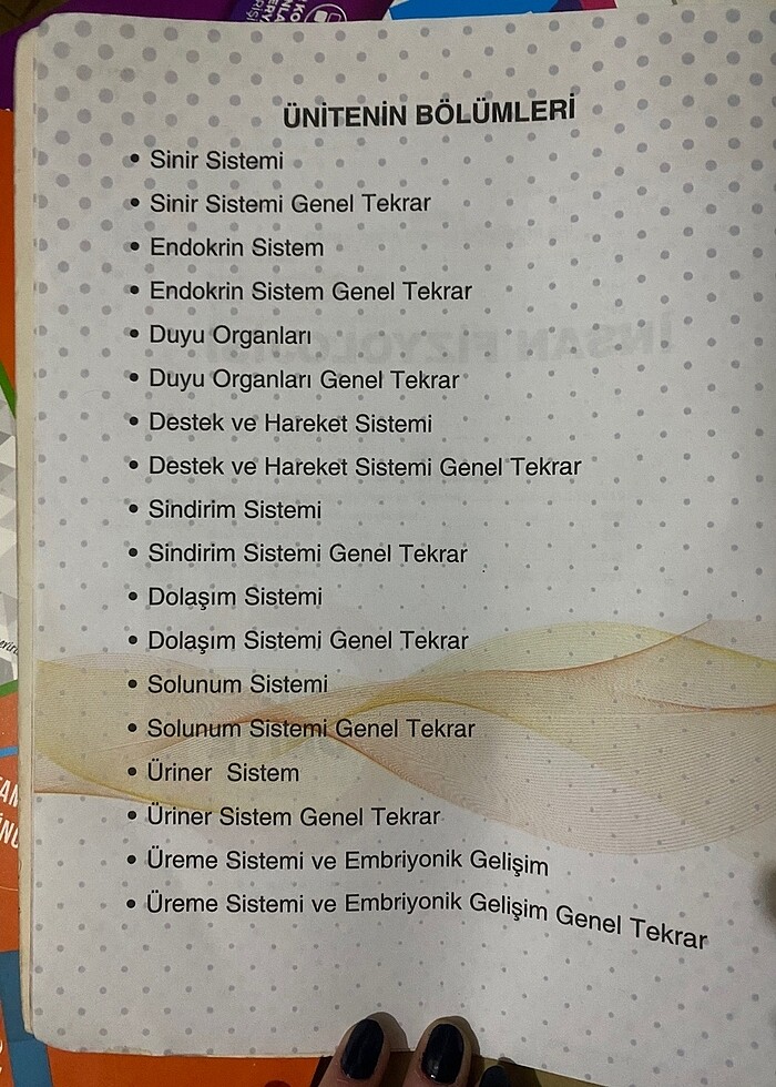 Ayt Soru Bankası - Görsel 3