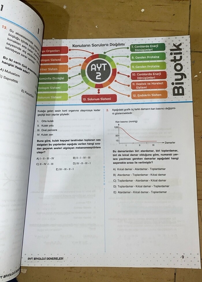 Ayt Deneme - Görsel 3