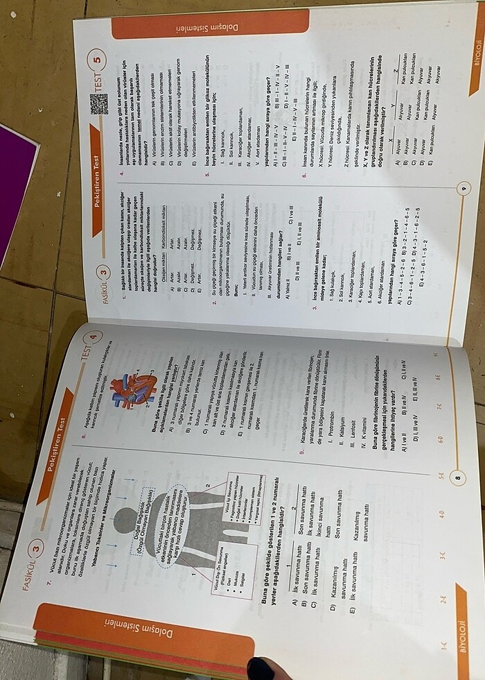 Ayt Soru Bankası - Görsel 3