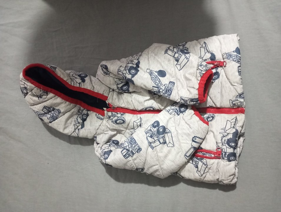 Kapüşonlu Fermuarlı Erkek Çocuk Mont - Görsel 2